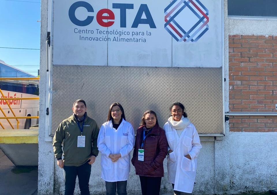 CeTA Sur fortalece vínculos con ProChile para potenciar exportaciones alimentarias desde el Biobío