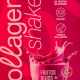 Collagen Fans: innovación inclusiva y sustentable que dio sus primeros pasos junto a CeTA