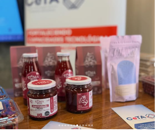 De los berries nativos a los alimentos funcionales: tres innovaciones que CeTA impulsa desde Biobío hacia la industria alimentaria