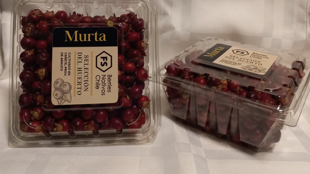 Loma Roja: agregando valor a la murta desde el territorio
