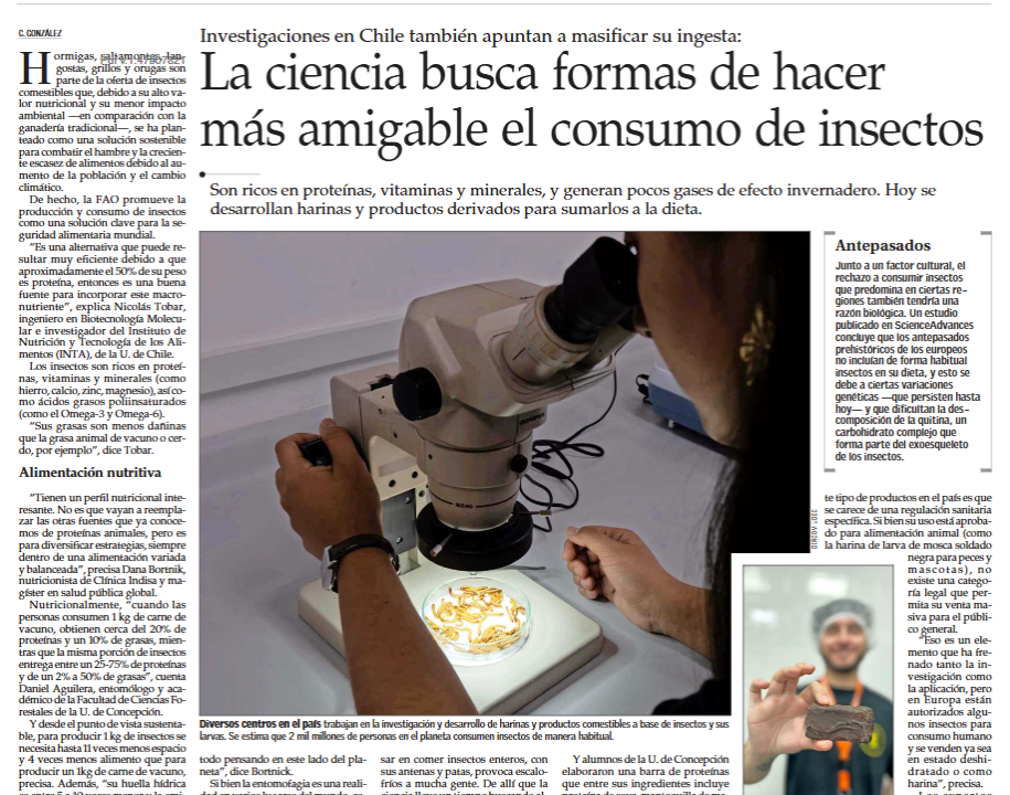 EntoEnergy en El Mercurio