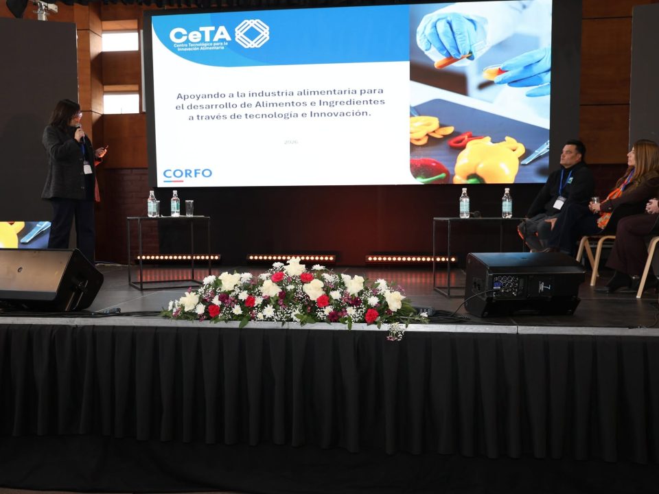 CeTA participó en Encuentro Mentes Creativas Emprendedoras Territorio Arauco 2026
