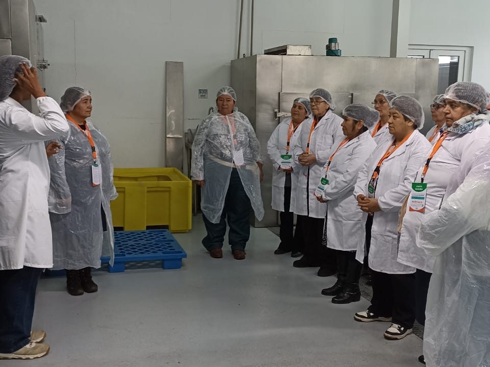 Emprendedoras rurales de Tirúa conocen tecnologías de CeTA Sur para agregar valor a sus productos
